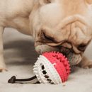 Cuerda de Tiro para Perros - PupHappy