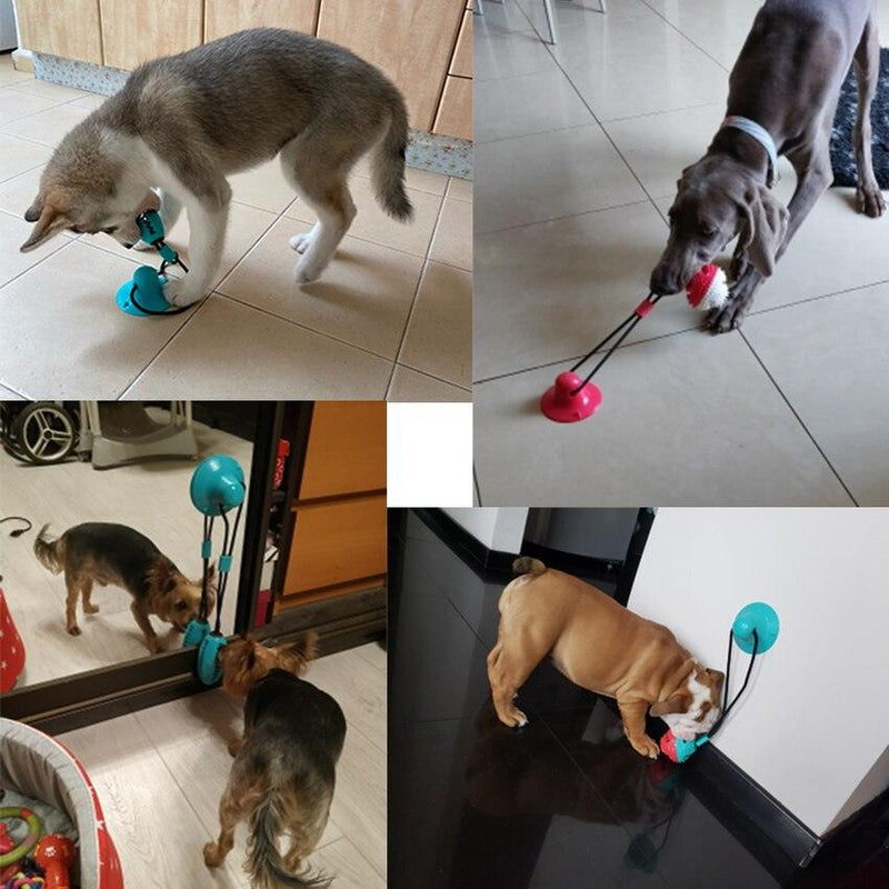 Cuerda de Tiro para Perros - PupHappy