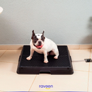 Baño Inteligente para Mascotas