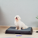 Baño Inteligente para Mascotas