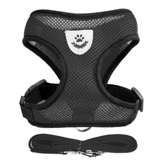 Collar Ajustable para Perros y Gatos - StreetPet™
