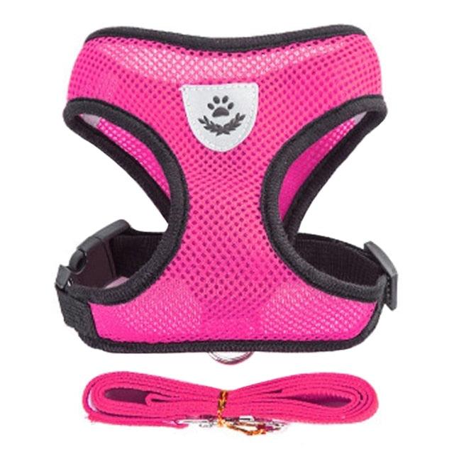 Collar Ajustable para Perros y Gatos - StreetPet™