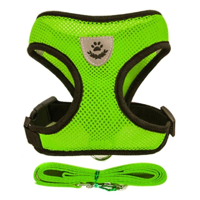 Collar Ajustable para Perros y Gatos - StreetPet™