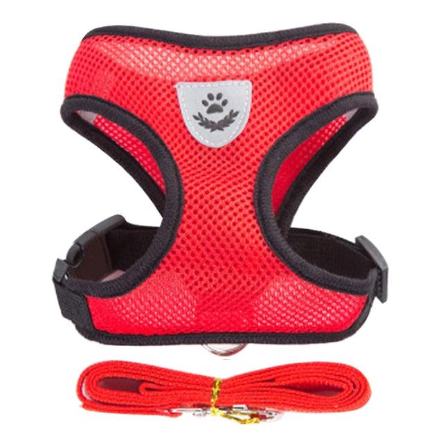 Collar Ajustable para Perros y Gatos - StreetPet™