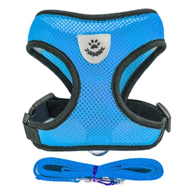 Collar Ajustable para Perros y Gatos - StreetPet™